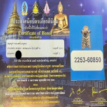 “แมลงภู่ร้อยปีจิ๋วที่สุดที่เคยเห็นมา!!!”(ติดรางวัลที่3)