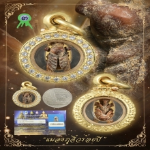 “แมลงภู่ร้อยปีจิ๋วที่สุดที่เคยเห็นมา!!!”(ติดรางวัลที่3)