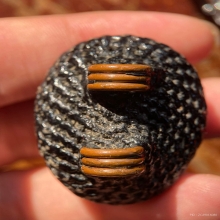 เบี้ยหลวงปู่เจือ วัดกลางบางแก้ว จ.นครปฐม พร้อมบัตรสมาคม