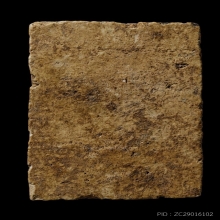 +บัตรสมาคม สมเด็จเจดีย์ หลวงปู่ลำภู ลงกรุต้นโพธิ์