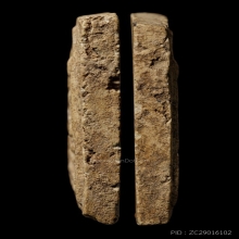 +บัตรสมาคม สมเด็จเจดีย์ หลวงปู่ลำภู ลงกรุต้นโพธิ์