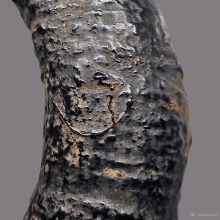 พิรอดแขนพันสายสิญจน์ หลวงปู่ยิ้ม วัดหนองบัว (แชมป์)