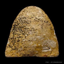 +ติดที่2สมาคม สมเด็จโต เนื้อขาว วัดประสาท