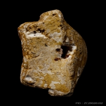 +ติดที่2สมาคม สมเด็จโต เนื้อขาว วัดประสาท