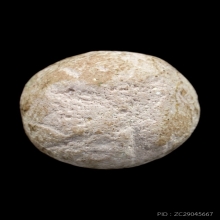 ลูกอมมหากัณฑ์ หลวงพ่อคง วัดบางกะพ้อม