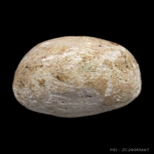 ลูกอมมหากัณฑ์ หลวงพ่อคง วัดบางกะพ้อม