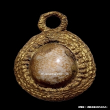 เบี้ยแก้หลวงพ่อทรง วัดศาลาดิน อ่างทอง