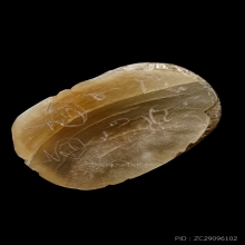 ที่2สมาคม+บัตรสมาคม เขาควายเผือกแกะ เสือหลวงพ่อคง