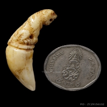 +บัตรสมาคม เขี้ยวแกะ เสือหลวงพ่อคง วัดวังสรรพรส