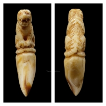 +บัตรสมาคม เขี้ยวแกะ เสือหลวงพ่อคง วัดวังสรรพรส