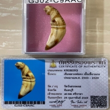 +บัตรสมาคม เขี้ยวแกะ เสือหลวงพ่อคง วัดวังสรรพรส