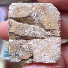 สมเด็จหัก เก่า ไม่ทราบที่