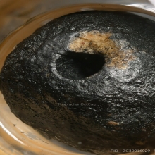 “ประคำผงยาจินดามณีตัวจริง”หลวงปู่บุญ กลางบางแก้ว