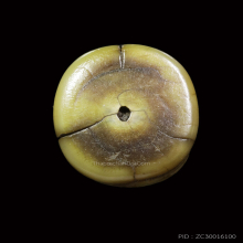 เสือหลวงพ่อปาน