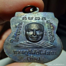 เหรียญใต้ร่มเย็น บล๊อคกษาปณ์ ผิวปรอท มีรูปแสงธรรมชาติประกอบ