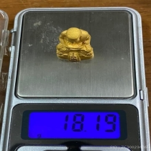 พระทองคำ หลวงปู่ทวด พระนามาภิไธย สก.