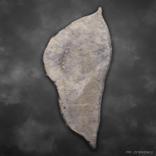 พระนาคปรก กรุวัดท่ามะขาม เนื้อตะกั่วสนิมแดง