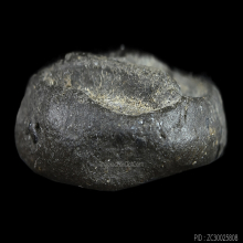 พระพุทธใบพุทราหลวงพ่อขำ วัดแก้ว สร้างน้อยหายาก