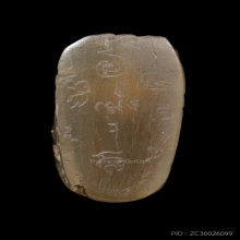 ที่3สมาคม+บัตรสมาคม เขาควายเผือกแกะ เสือหลวงพ่อคง