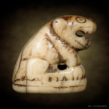 เสือหลวงพ่อสาย วัดคลองด่าน จ.สมุทรปราการ 