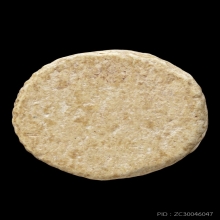 +บัตรสมาคม จันทร์ลอย วัดประสาท