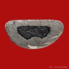 รูปหล่อหลวงปู่เผือก วัดสาลีโขภิตาราม ปี2514 (รุ่นแรก)