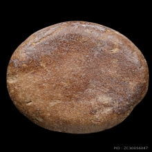 +บัตรสมาคม&บัตรป๋อง กำแพงงบน้ำอ้อย กรุวัดบรมธาตุ