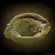 รูปหล่อโบราณหลวงพ่อเขียน หน้าลิงใหญ่วัดถ้ำขุนเณร