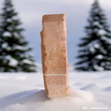 พระผง หลวงพ่อปาน วัดบางนมโค รุ่นสู่มาตุภูมิ ปี 2533