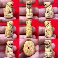 เสือหลวงพ่อสาย วัดคลองด่าน จ.สมุทรปราการ