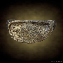 รูปหล่อหลวงพ่อมา เจ้าอาวาสวัดป่ามะม่วง ต.ไกรใน อ.กงไกรลาศ 