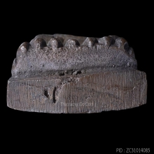 หลวงปู่ทวด รุ่นสร้างโรงพยาบาลโคกโพธิ์  ปี2539 วัดช้างให้