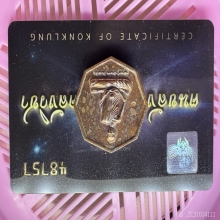 หนังสือ+เหรียญ หลวงปู่เดินหน อิเกสาโร เล่ม 2