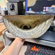 รูปหล่อหลวงพ่อโสธรหน้าตัก 7 นิ้วสูง 12 นิ้วครึ่ง ปี 2536