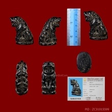 เสือ หลวงพ่อคง วัดวังสรรพรส