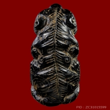 เสือ หลวงพ่อคง วัดวังสรรพรส