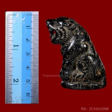 เสือ หลวงพ่อคง วัดวังสรรพรส