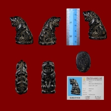 เสือ หลวงพ่อคง วัดวังสรรพรส