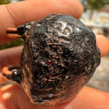 เบี้ยแก้หลวงปู่เพิ่ม วัดกลางบางแก้ว (พอกผงลงรัก)