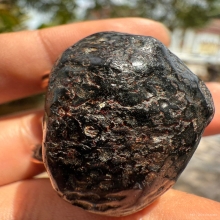 เบี้ยแก้หลวงปู่เพิ่ม วัดกลางบางแก้ว (พอกผงลงรัก)