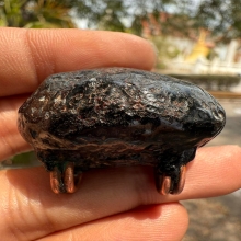 เบี้ยแก้หลวงปู่เพิ่ม วัดกลางบางแก้ว (พอกผงลงรัก)