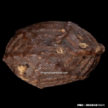 ลูกอมหลวงพ่อปลอด วัดในปากทะเล จ.เพชรบุรี