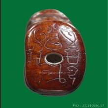 เสือหลวงพ่อสาย วัดบางเหีย มันส์สุดๆ