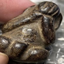 พระปิดตา เนื้อผงคลุกรักเก่า