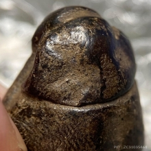 พระปิดตา เนื้อผงคลุกรักเก่า