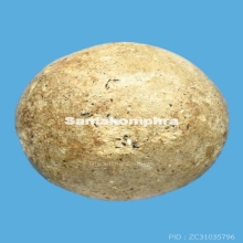 ลูกอมหลวงพ่อพริ้ง วัดบางปะกอก