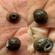 เม็ดประคำหลวงปู่เอี่ยม วัดสพานสูง เเกนตะกั่วถ้ำชา (เนื้อA)