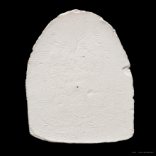 +บัตรสมาคม พระรอด พระผงกรรมฐาน หลวงปู่ดู่