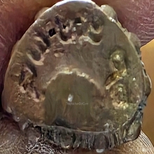 หลวงพ่อเกษม พระปิดตาลอยองค์2538