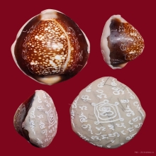 เบี้ยแก้ หลวงพ่อวิรัตน์ วัดหนองฝ้าย กาญจนบุรี